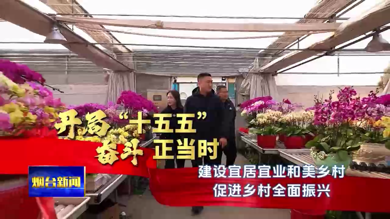 开局“十五五” 奋斗正当时|建设宜居宜业和美乡村 促进乡村全面振兴