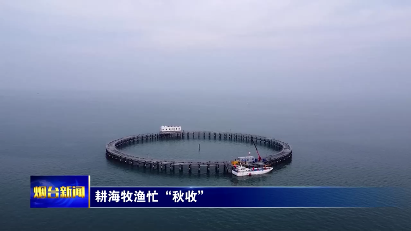 【烟台新闻】耕海牧渔忙“秋收”