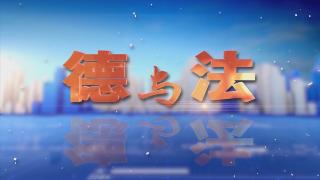 【德与法】雷霆执行——持“执”以恒