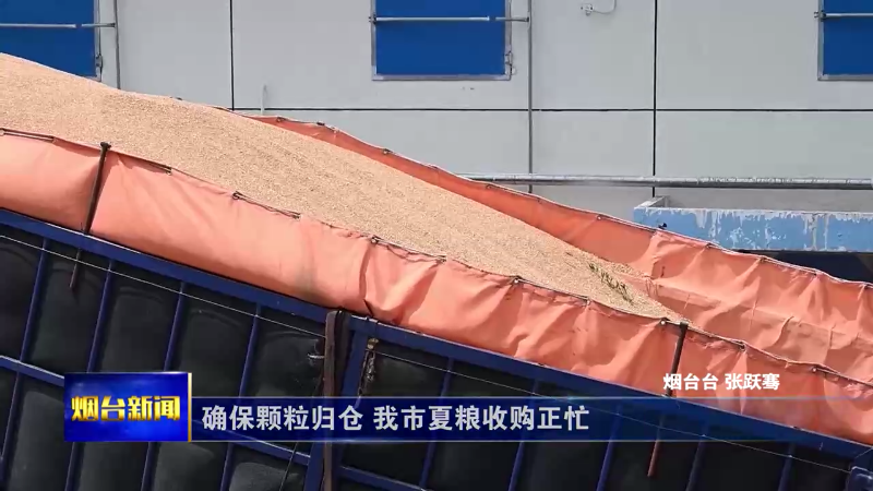 确保颗粒归仓 我市夏粮收购正忙