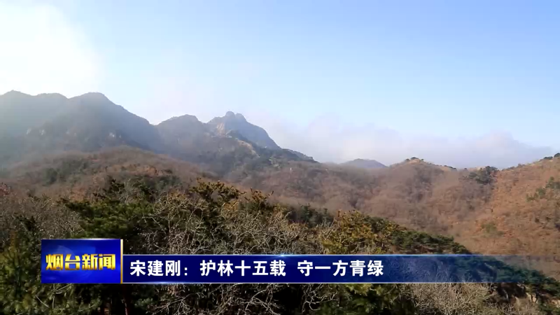 【烟台新闻】宋建刚：护林十五载  守一方青绿