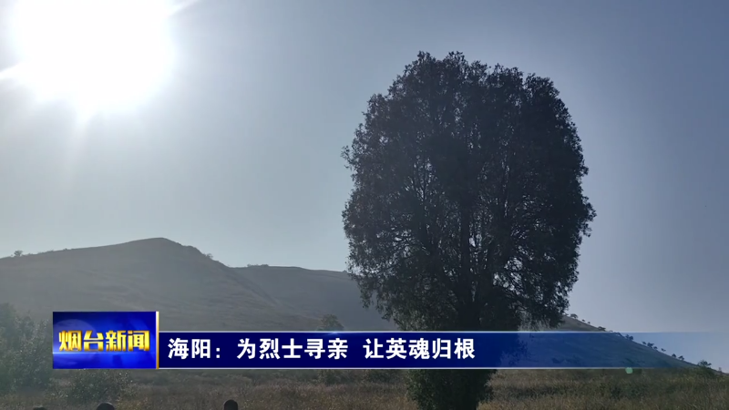 【烟台新闻】海阳：为烈士寻亲  让英魂归根