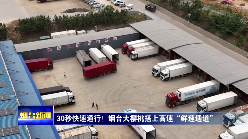 30秒快速通行！烟台大樱桃搭上高速“鲜速通道”