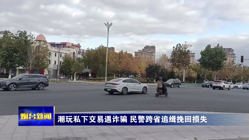 潮玩私下交易遇诈骗 烟台民警跨省追缉挽回损失