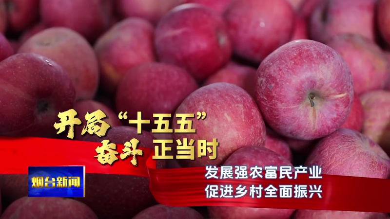 开局“十五五” 奋斗正当时|发展强农富民产业 促进乡村全面振兴