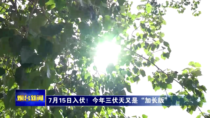 【烟台新闻】7月15日入伏！今年三伏天又是“加长版”