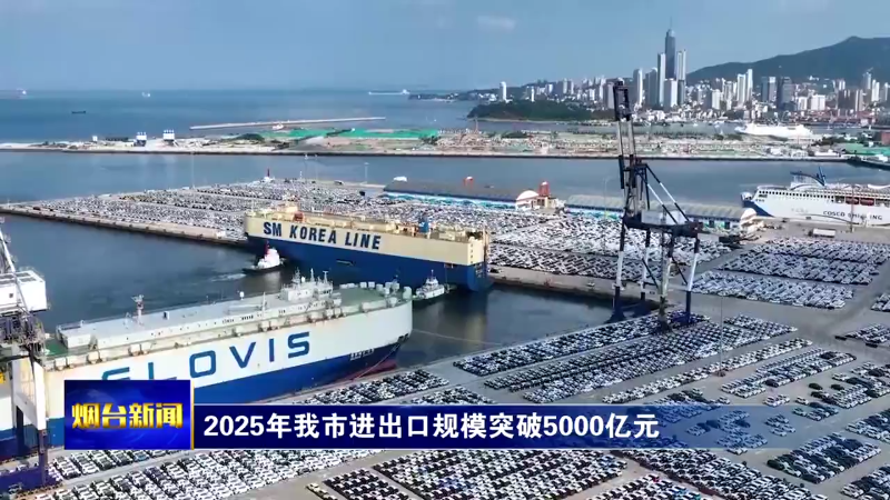 2025年烟台市进出口规模突破5000亿元