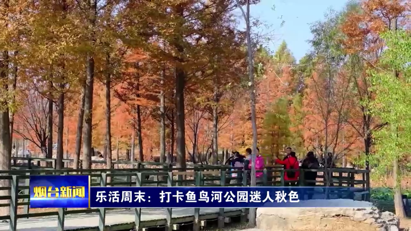 【烟台新闻】乐活周末：打卡鱼鸟河公园迷人秋色