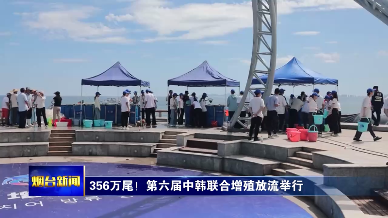 356万尾！第六届中韩联合增殖放流举行