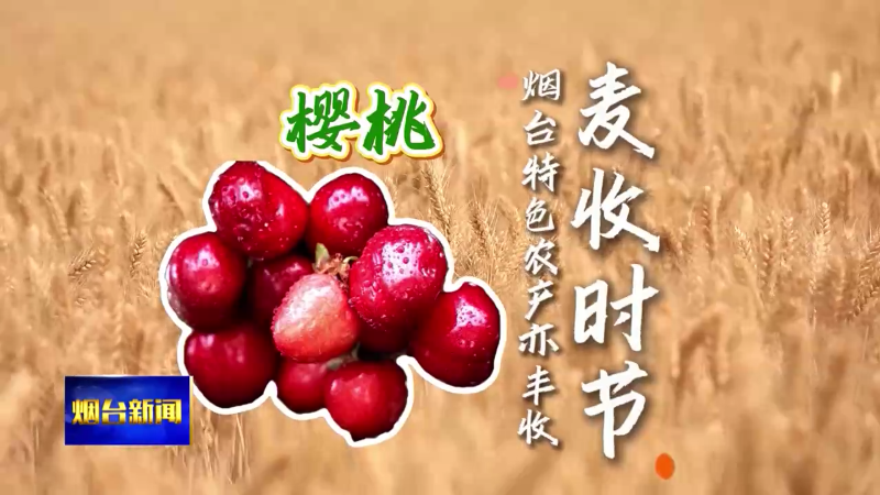 夏至看丰收一组