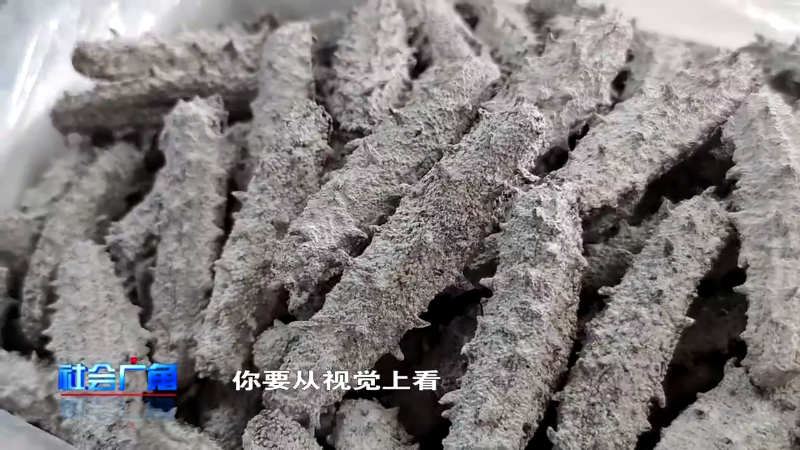 【社会广角】春季买海参好时机