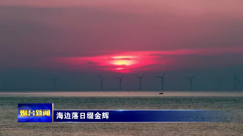 【烟台新闻】海边落日缀金辉
