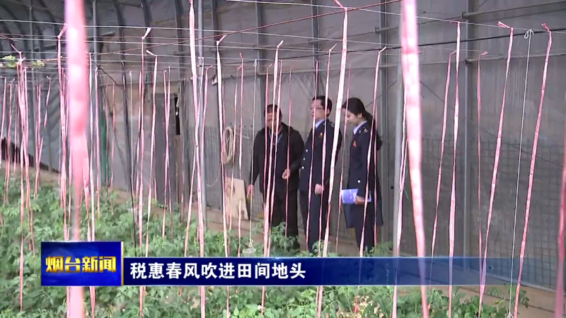【烟台新闻】税惠春风吹进田间地头