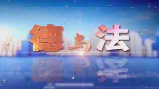 【德与法】小助理发挥大作用—警务助理