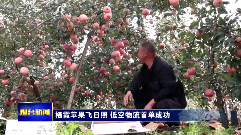 【烟台新闻】栖霞苹果飞日照 低空物流首单成功