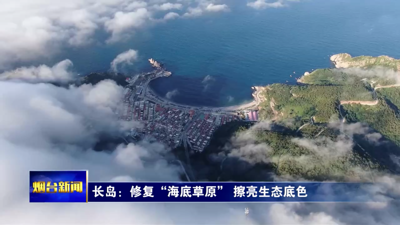 长岛：修复“海底草原” 擦亮生态底色
