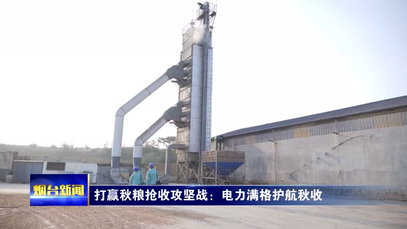 【烟台新闻】打赢秋粮抢收攻坚战：电力满格护航秋收