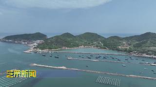 芝罘岛春捕海参迎来丰收季