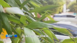 【社会广角】律师？法务？傻傻分不清楚