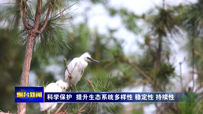 【烟台新闻】科学保护 提升生态系统多样性 稳定性 持续性