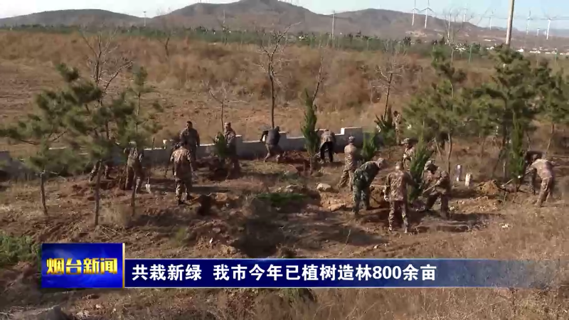 【烟台新闻 】共栽新绿  我市今年已植树造林800余亩