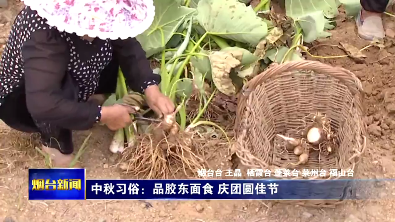 【烟台新闻】传统习俗迎中秋