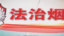【法治烟台】你从山中来，不能带兰花！挖了野生兰花，小心违法！重则刑事！