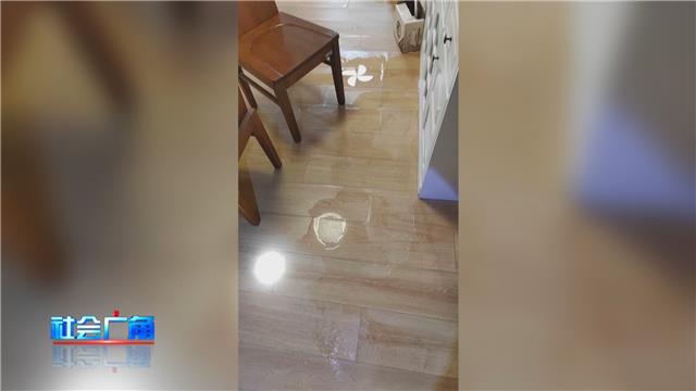 【社会广角】一楼下水道返水，损失该由全楼承担吗？