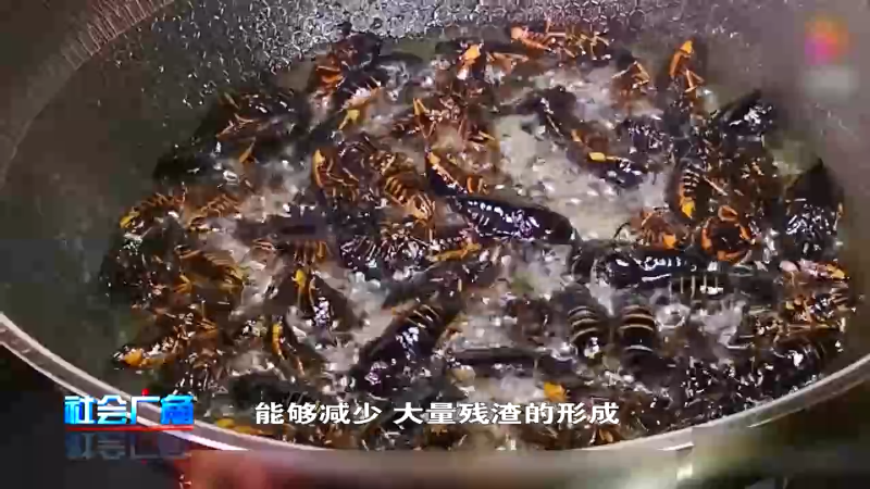 【社会广角】油炸知了勿多吃  小心急性肠梗阻！