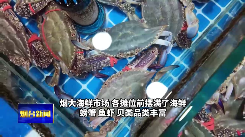 开海在即 探访烟台海鲜市场　