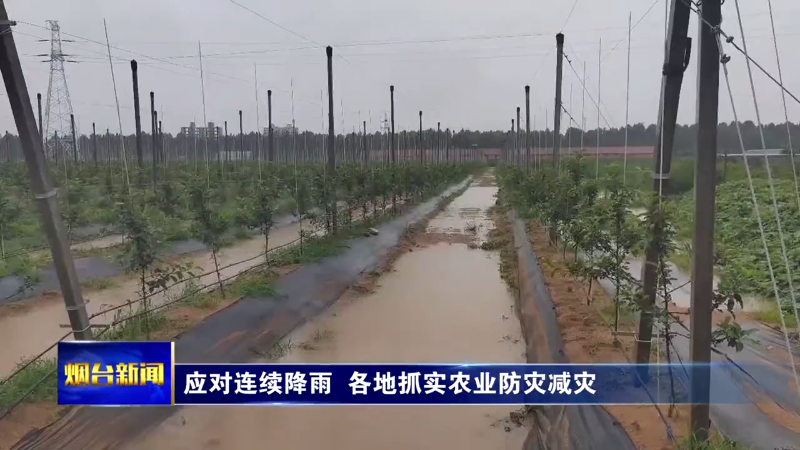 【烟台新闻】应对连续降雨 各地抓实农业防灾减灾