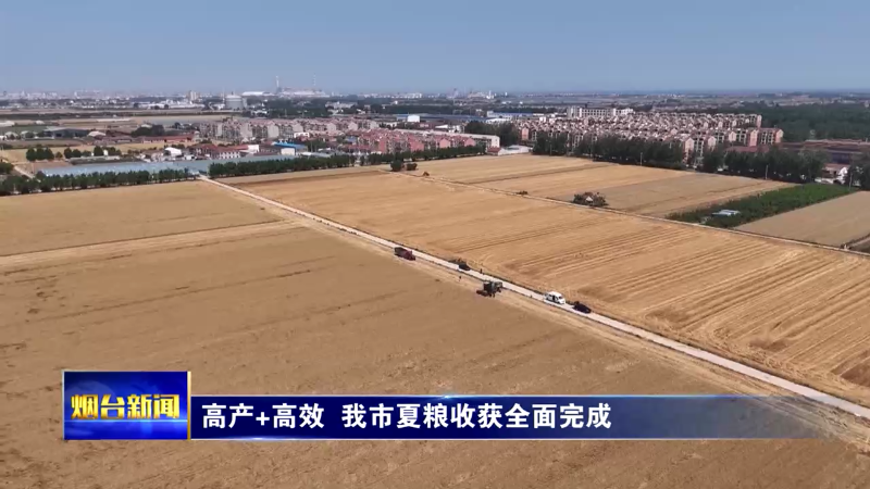 高产+高效，烟台夏粮收获全面完成