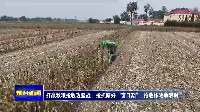 烟台：抢抓晴好“窗口期”  抢收作物争农时