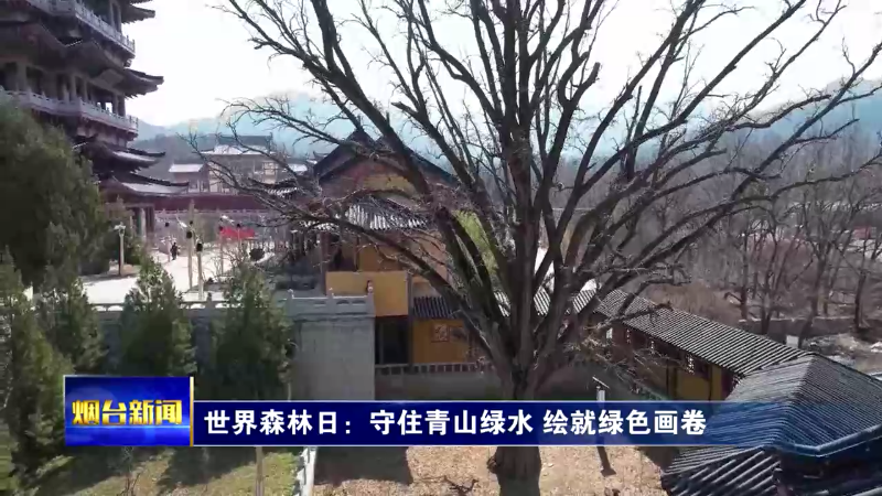 【烟台新闻】世界森林日：守住青山绿水 绘就绿色画卷