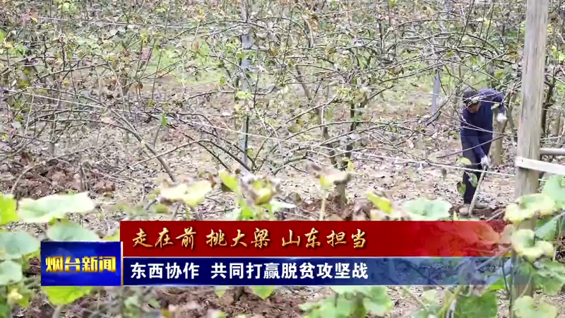 【烟台新闻】东西协作  共同打赢脱贫攻坚战