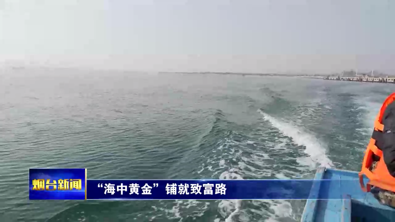“海中黄金”铺就致富路