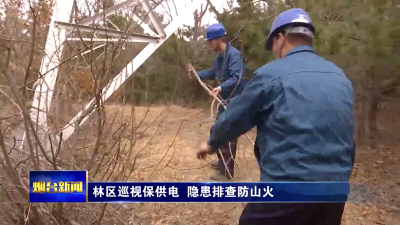 【烟台新闻】林区巡视保供电  隐患排查防山火