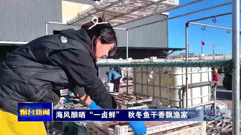 烟台：海风酿晒“一卤鲜”  秋冬鱼干香飘渔家