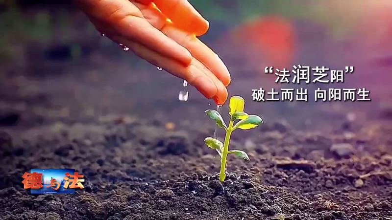 【德与法】“法润芝阳”——破土而出 向阳而生