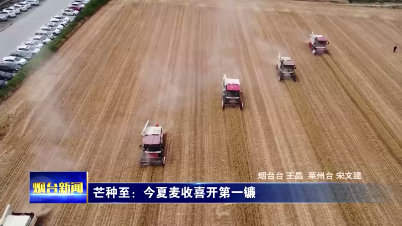【烟台新闻】今日芒种