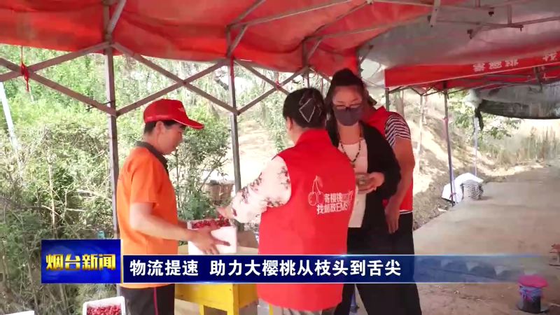 烟台：物流提速 助力大樱桃从枝头到舌尖