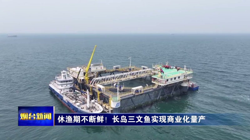 休渔期不断鲜！长岛三文鱼实现商业化量产