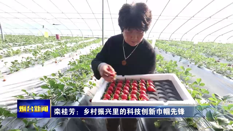 【烟台新闻】栾桂芳：乡村振兴里的科技创新巾帼先锋
