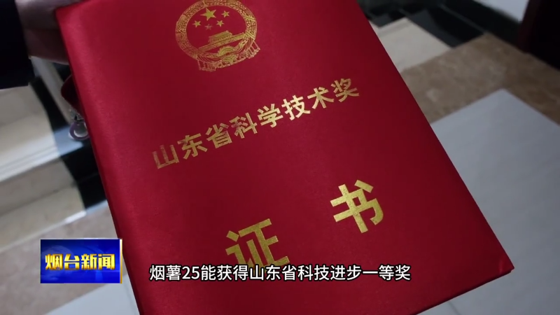 【烟台新闻】项目主持人谈烟薯25发展至今的故事