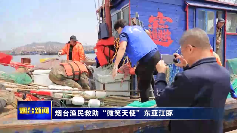 烟台渔民救助“微笑天使”东亚江豚