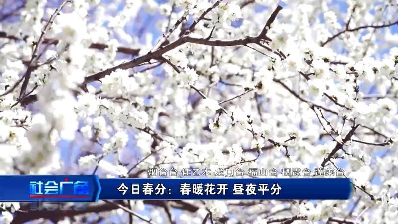 【社会广角】今日春分：春暖花开 昼夜平分