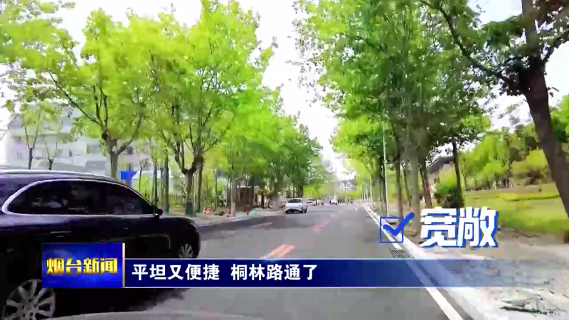 【烟台新闻】平坦又便捷  桐林路通了