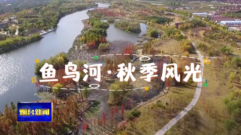 【烟台新闻】鱼鸟河秋季风光