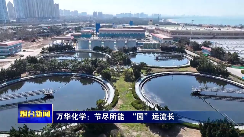 【烟台新闻】万华化学：节尽所能  “园”远流长