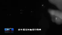 【社会广角】警灯一闪心就慌 小伙主动投案自首